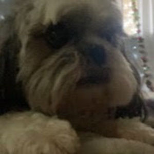 Meet your Posher, Erika